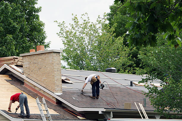 Best Roof Gutter Cleaning  in Belvedere Park, GA
