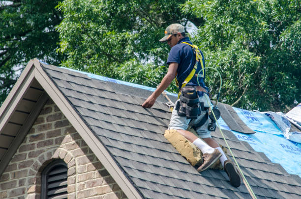 Best Storm Damage Roof Repair  in Belvedere Park, GA